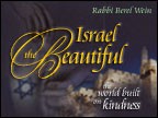 Israel the Beautiful Video PAL--European Version product logo