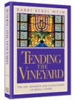 Tending the Vineyard - Softcover