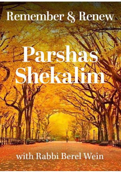 Parshas Shekalim<br>Remember and Renew:The Four Special Sabbaths of the Year<br>From the Haftorah Series