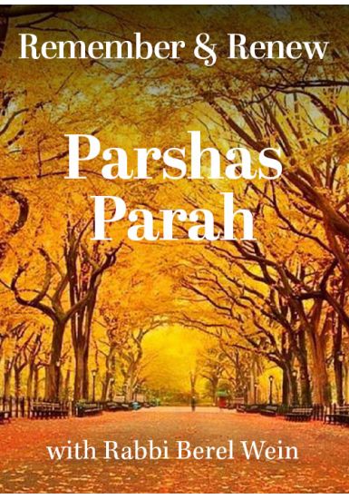 Parshas Parah<br>Remember and Renew: The Four Special Sabbaths of the Year<br>From the Haftorah Series