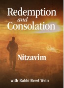 Nitzavim - Redemption and Consolation