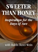 Shabbos Shuva - Sweeter Than Honey