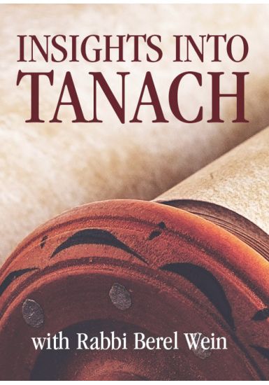 Shoftim<br> Insights into Tanach
