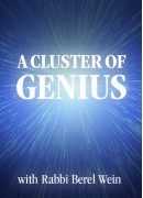 Rabbi Meyer Yechiel Halshtuk -  A  Cluster of Genius