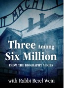 Rabbi Mordechai Lipa Teomin   -  Three Among Six Miliion